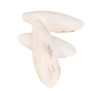 HANABASS Cuttlebone Bird Toy Bones Toys 3 Pcs 14-18cm Calcium Teeth Grinding for Hamster Parrot Turtle Small PET Beige Chew Hanging Pendant Supplies