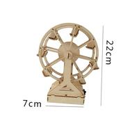HANABASS DIY Electric Ferris Wheel Model for Students Science Kit Without Battery Educational Experiment Material to Enhance Observation Thinking Analytical Skills Assembly for Learning Fun