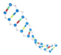 HANABASS Dna Double Helix Model Kit Educational Science Instrument for Biology Teaching DIY Assembly Gene Structure Intuitive Learning Aid for Students and Classroom Use