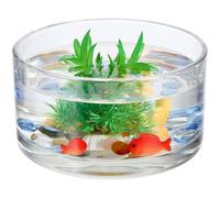 HANABASS Glass Flower Pot 15cm Round Hydroponics Planter Clear Glass Terrarium Bowl Desktop Succulent Vase and Mini Fish Tank for Friends Gift 15 x 8 cm