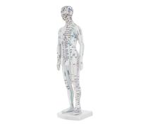 HANABASS Human Body Acupuncture Model Male Meridians Acupoint Mannequin White Simulation Body Model for Traditional Chinese Medicine Practice and Hospital Training