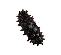 HANABASS Lifelike Fake Sea Cucumber Model PVC Material Real Touch Feeling for Restaurant Decor Photography Prop Home Display Cognitive Food Decor
