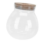 HANABASS Micro Landscape Ecological Glass Bottle with Stopper Transparent Terrarium Jar for Home Decor Stylish Small Fish Tank Display Easy to Clean Reusable Microlandscape Container
