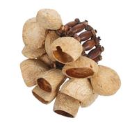 HANABASS Natural African Tribal Nut Shells Bracelet Handbell Authentic Percussion Shaker Wristband for Yoga Adults and Handmade Shaker Instrument with Crisp Warm Tones for Dance and Party