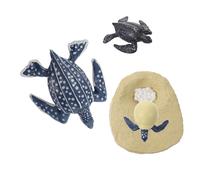 HANABASS Realistic Turtle Growth Cycle Models Educational Figurines for Simulation Animal for Biology Learning Life Cycle Teaching Accessories