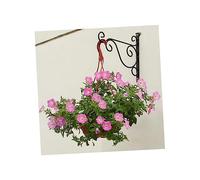 HANABASS Wrought Iron Wall Mounted Plant Bracket Small Black Hanging Hook for Garden Baskets Lanterns Bird Feeders with Sturdy High Load Bearing Design Easy to Install Decorative Holder