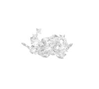 Hanami Wall/ Ceiling Light Transparent