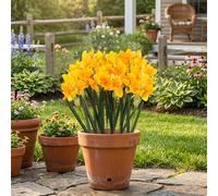 Hananona 10 Pcs Artificial Daffodils Flowers Narcissus Faux Spring Flowers Fake Silk Daffodil Flower Arrangement for Indoor Outdoor Home Wedding Decor (10, Yellow)