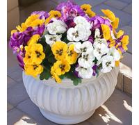 Hananona 12 Bundles Artificial Flowers Outdoor UV Resistant Artificial Silk Pansies Faux Plastic Flower in Bulk Fake Outdoor Plants(12, Yellow, White, Purple)