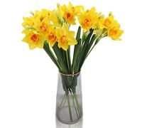 Hananona 20 Pcs Artificial Daffodils Flowers Bulk Outdoor Narcissus Yellow Spring Flowers Fake Silk Flower Arrangement for Home Window Box Decor (20, Yellow)