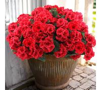 Hananona 6 Bundles Artificial Geranium Flowers for Outdoors Silk Geranium Flowers Outdoor UV Resistant Garden Plants Faux Flower for Home Kitchen Table Centerpieces Decor (6, Red)