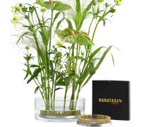 Hanataba Kenzan - "The Ring" Flower Arranging Aid - 12 cm