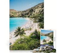 Hanauma Bay 1000 Pieces Jigsaws Adults Puzzles Gifts Sharp Thinking Cozy Fun Fun Activity Game Night (50x75cm)