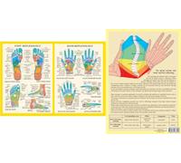 Hand and Foot Reflexology