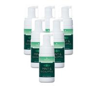Hand Cleansing Sanitiser Foam, No Alcohol Foaming Hand Sanitizer Dispenser - Mint & Eucalyptus (100ml (Pack of 6))