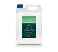 Hand Cleansing Sanitiser Foam, No Alcohol Foaming Hand Sanitizer Dispenser - Mint & Eucalyptus - 5 Litre Refill