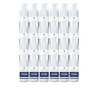 Hand Cleansing Sanitiser Foam, No Alcohol Foaming Hand Sanitizer Dispenser - Unscented (100 ml (Pack of 24))