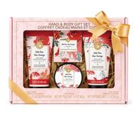 Hand Cream Gifts for Women 4PCS Wild Rose Birthday Gift for Her Spa Sets