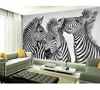 Hand Drawn Abstract Black and White Zebra Wallpaper 3D Non-Woven Wallpaper Murals Living Room Bedroom Wall Decoration Custom 3D Wallpaper Paste Living Room The Wall for bedroom-350cm×256cm