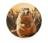 Hand Drawn Groundhog Cutting Board for Kitchen Mini Cheese Chopping Board Round Tempered Glass Chopping Block for Picnic Cutting Pizza Meat Fruit(7.9 Inch)