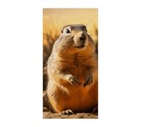 Hand Drawn Groundhog Door Cover Spring Summer Hanging Flag Porch Sign Outdoor Seasonal Holiday Yard Decor for Front Door and Porch
