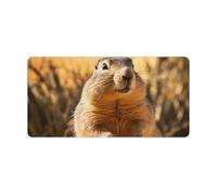Hand Drawn Groundhog Keyboard Mat Large Gaming Mouse Pad, Anti-Slip Desk Mat for Desktop Desk Work/Home Writing Mat 11.8 * 23.6 Inches