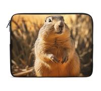 Hand Drawn Groundhog Laptop Sleeve Case 17inch, Shockproof Protective Case, 10-17 Inch Computer Sleeve, Water Resistant Laptop Briefcase for Men Women Compatible with MacBook Air/Notebook/Tablet