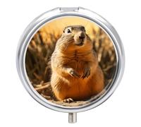 Hand Drawn Groundhog Pill Box Case 3 Compartment Travel Medicine Pill Organizer 3x A Day Portable Vitamin Organizer with Mirror Small Pillbox for Purse & Pocket Cute Daily Medicine Container Metal Vit