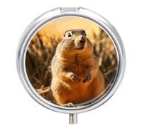 Hand Drawn Groundhog Pill Box Waterproof Portable Medicine Pill Case Moisture Proof Metal Travel Pill Box with 3 Compartment Medicine Case