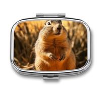 Hand Drawn Groundhog Pill Case with 2 Compartment, Pill Organizer Portable Square Pill Box,Vitamin Pill Organizer for Pocket Purse and Travel