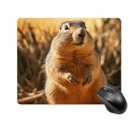 Hand Drawn Groundhog Square Mouse Pad Portable Computer Mousepad with Non-Slip Rubber Base 18 * 22cm Ultra-Thin Gaming Mouse Mat for Computer Laptop Office Desk Accessories