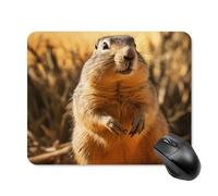 Hand Drawn Groundhog Square Mouse Pad Portable Computer Mousepad with Non-Slip Rubber Base 20 * 25cm Ultra-Thin Gaming Mouse Mat for Computer Laptop Office Desk Accessories
