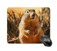 Hand Drawn Groundhog Square Mouse Pad Portable Computer Mousepad with Non-Slip Rubber Base 25 * 30cm Ultra-Thin Gaming Mouse Mat for Computer Laptop Office Desk Accessories