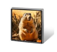 Hand Drawn Groundhog Suit Lapel Pin Fashion Lapel Pins for Men Women for Backpacks Funny Hat Brooch Pin Personalized Bag Lapels Badge Metal Novelty Buttons & Pins (Square)