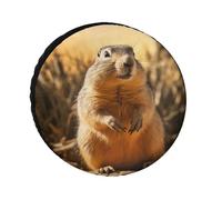 Hand Drawn Groundhog Tire Covers Waterproof Anti UV Tire Cover 30inch Single Axle Wheel Covers for RV Truck SUV Trailer Universal for All Seasons
