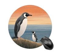 Hand Drawn Penguin Round Mouse Pad Non-Slip Rubber Mouse Mat Portable Mousepad for Gamers Home Office Desk Accessories,7.8 Inch