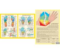 Hand & Foot Reflexology -- A4
