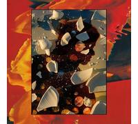 Hand Habits – Sugar the Bruise – Vinyl