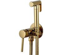 Hand Held Toilet Bidet Sprayer, Solid Brass Hot and Cold Bidet, Portable Cloth Diaper Sprayer, Wall Mount Single Handle Bidet Faucet