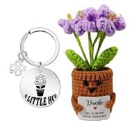 Hand Knitted Lucky Charm Pocket Hug - Positive Potato Crochet Plant Buddy with 4-Leaf Clover Keychain, Exam Good Luck Gifts for Women, Leaving Presents for Colleagues