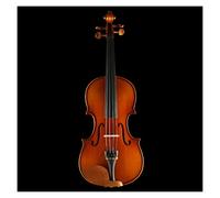 Hand Made Violin 4/4,huge And Resonant Sound Acoustic Violin Professional Violin Violin (Color : C)