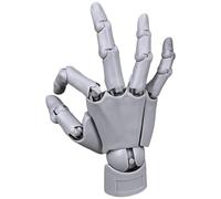 Hand Model for Drawing, Articulated Flexible Artist Manikin Figure with Adjustable Joints, PVC Poseable Sketching Tool, Moveable Mannequin for Artists, Painting, Displaying, Desk Decor