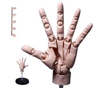 Hand Model,Hand Art Mannequin Figure,1:1 Articulated Mannequin Hand Moveable Joint Manikin Hand with Base for Drawing, Painting, Sketching/Complexion