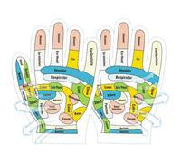 Hand Reflexology Gloves - English Version Print Massage Mittens, Point Guide Learning Gloves, Soft Comfortable Wearable Training Aid, Detailed Hand Zone Mapping Design | Self Massage