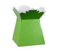 Hand-Tied Vase Florist Bouquet Boxes | Aqua Presentation & Transporter Boxes | Pack of 1 | Durable Flower & Plant Packaging | Glossy Lime Green