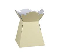 Hand-Tied Vase Florist Bouquet Boxes | Aqua Presentation & Transporter Boxes | Pack of 1 | Durable Flower & Plant Packaging | Glossy Ivory