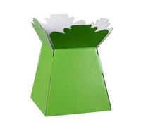 Hand-Tied Vase Florist Bouquet Boxes | Aqua Presentation & Transporter Boxes | Pack of 30 | Durable Flower & Plant Packaging | Glossy Lime Green