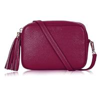 Handbag Bliss Women Camera Crossbody Shoulder Bag Italian Leather Tassel Zip Pull Small (Burgundy)