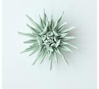 Handcrafted Ceramic Green Epiphyllum Flower Wall Hanging Decor Flowers Artificial Sculpture 3D Wall Ornament Arts Wedding Gift