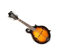 Handcrafted Professional Performance Spruce Veneer Top Mandolin With Open Style Metal Tuners Mandolin for Student
